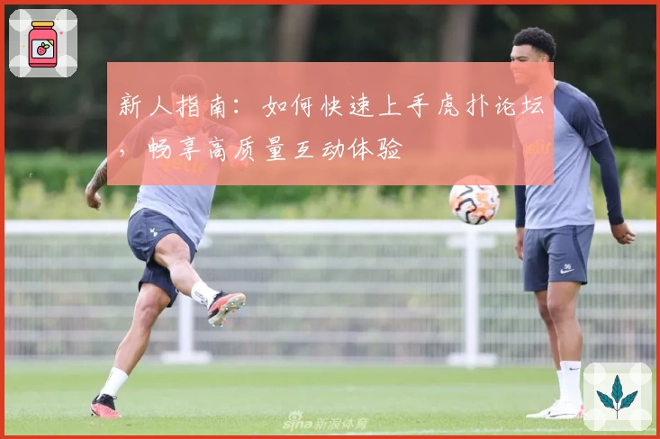 新人指南：如何快速上手虎扑论坛，畅享高质量互动体验